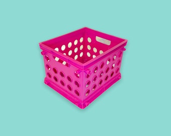 Vintage Y2K Plastic Storage Crate.