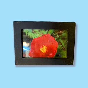 Vintage Black wood Picture Frame.