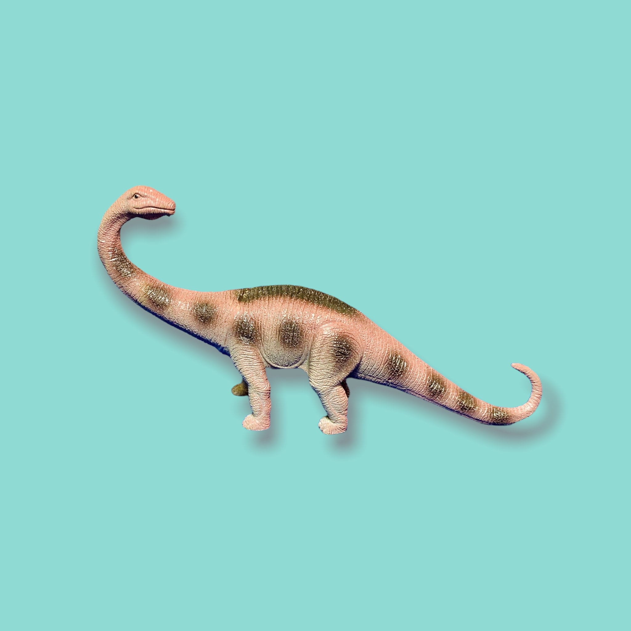 DIESEL 激レア 90s ''DINOSOUR'' RARE VINTAGE 90'S WALKING DINOSAURS 11