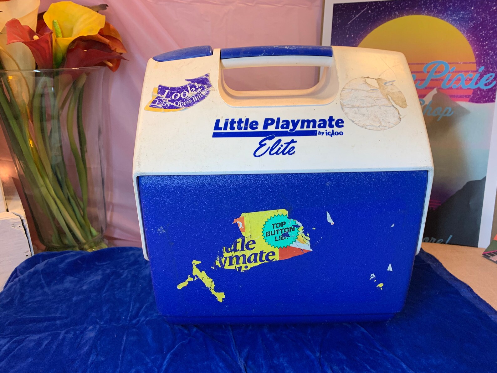 Vintage 6 Pack Igloo Blue Cooler Etsy