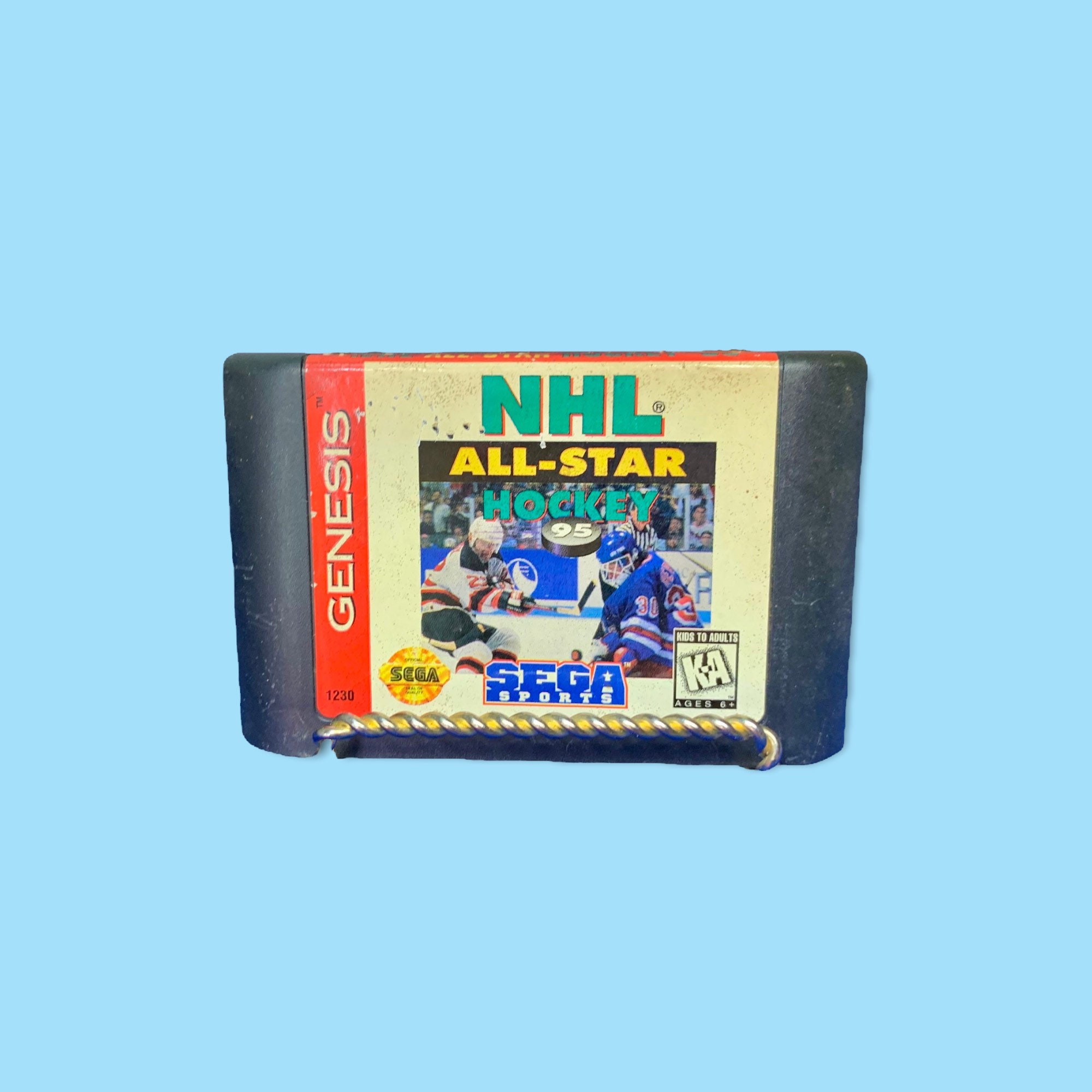 Sega Hockey Game