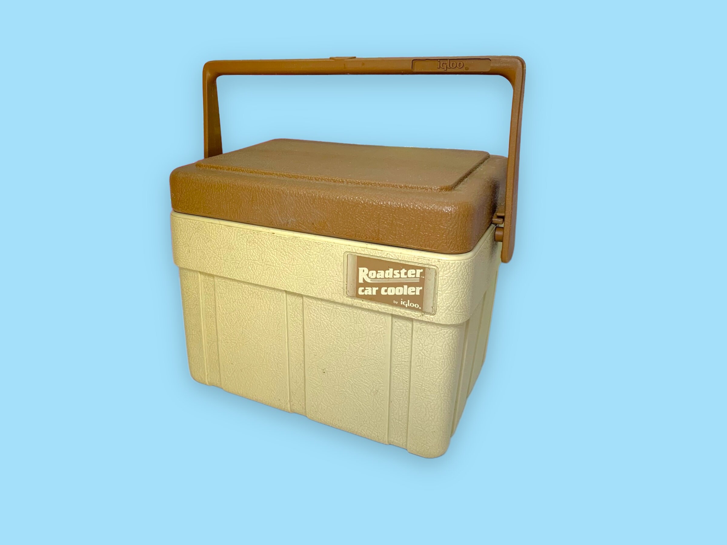 Igloo 00065477 90s Retro Collection Fanny Pack Portable Cooler with Front Pocket and Adjustable Waist Strap Holds 3 Cans, Multicolored 141［並行輸入］ Retro Collection | Igloo