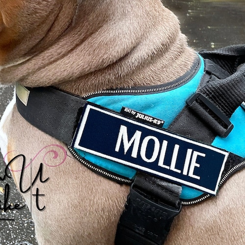 Dog Harness Name Patch Embroidered Pet Name Patch With Paw Etsy Australia