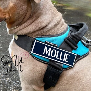 Dog Harness Name Patch, Embroidered Pet Name Patch, Suitable for Julius-K9 Products, Black Dog Name Sign Tag