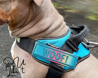 Dog Harness Name Patch, Rainbow Glitter Embroidered Pet Name Patch, Glitter Dog Name Sign Tag, Dog Name Badge Tag