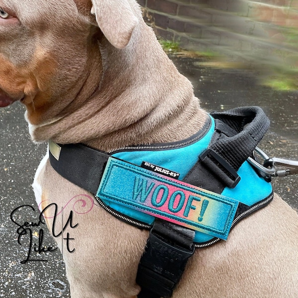 Dog Harness Name Patch, Rainbow Glitter Embroidered Pet Name Patch, Suitable for Julius-K9 Products, Glitter Dog Name Sign Tag