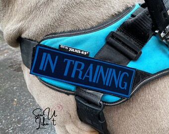 julius k9 custom patch