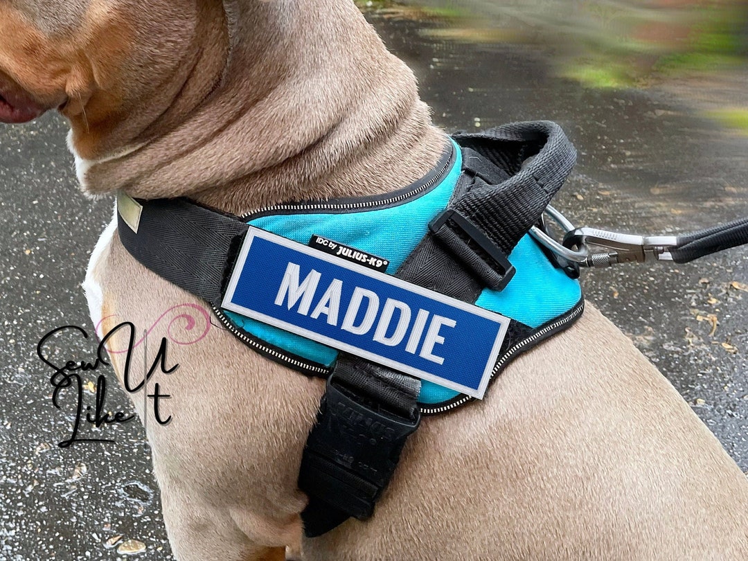 Dog Harness Name Patch Embroidered Pet Name Patch BLUE Dog Etsy