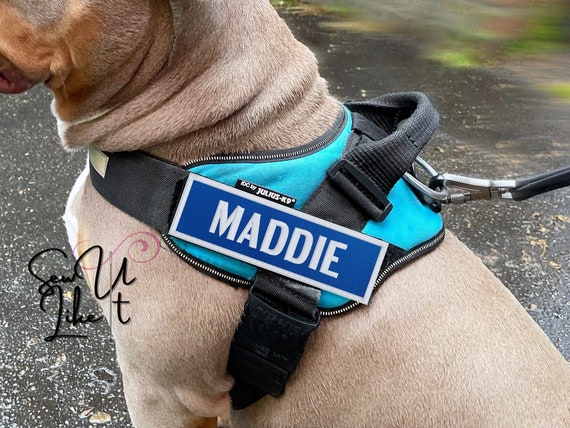 Dog Harness Name Patch Embroidered Pet Name Patch BLUE Dog Name Patch  Suitable for Julius-k9 Products, Dog Name Sign Tag Velcro Name Patch 