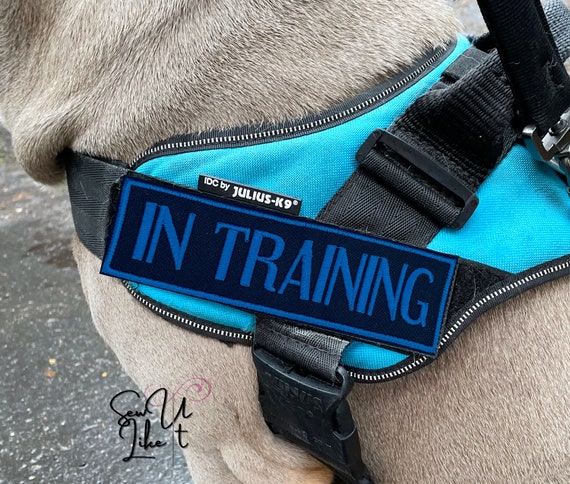 Dog Harness Patch in Training Embroidered Patch Julius-k9 Velcro Name Patch  Large Black Dog Harness Patch 