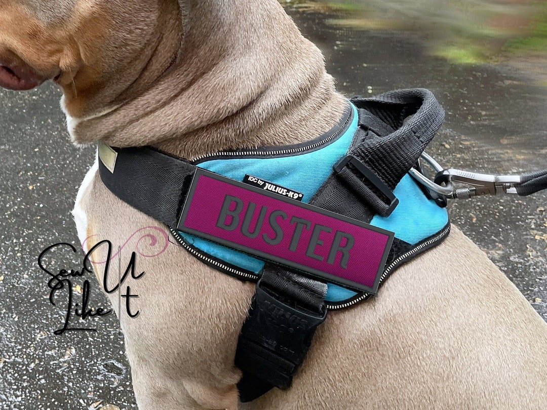 Dog Harness Name Patch Embroidered Pet Name Patch PINK Dog Etsy Hong Kong