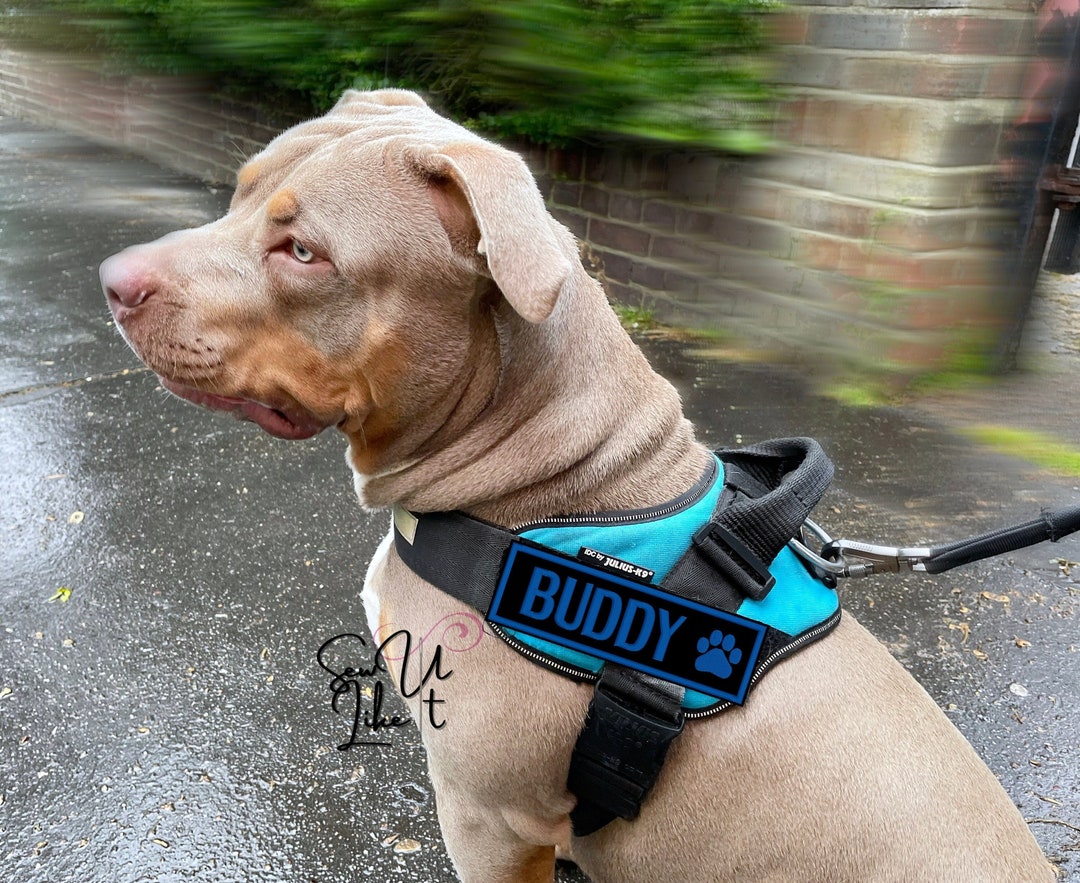 Dog Harness Name Patch, Embroidered Patch With Paw Print, Suitable for