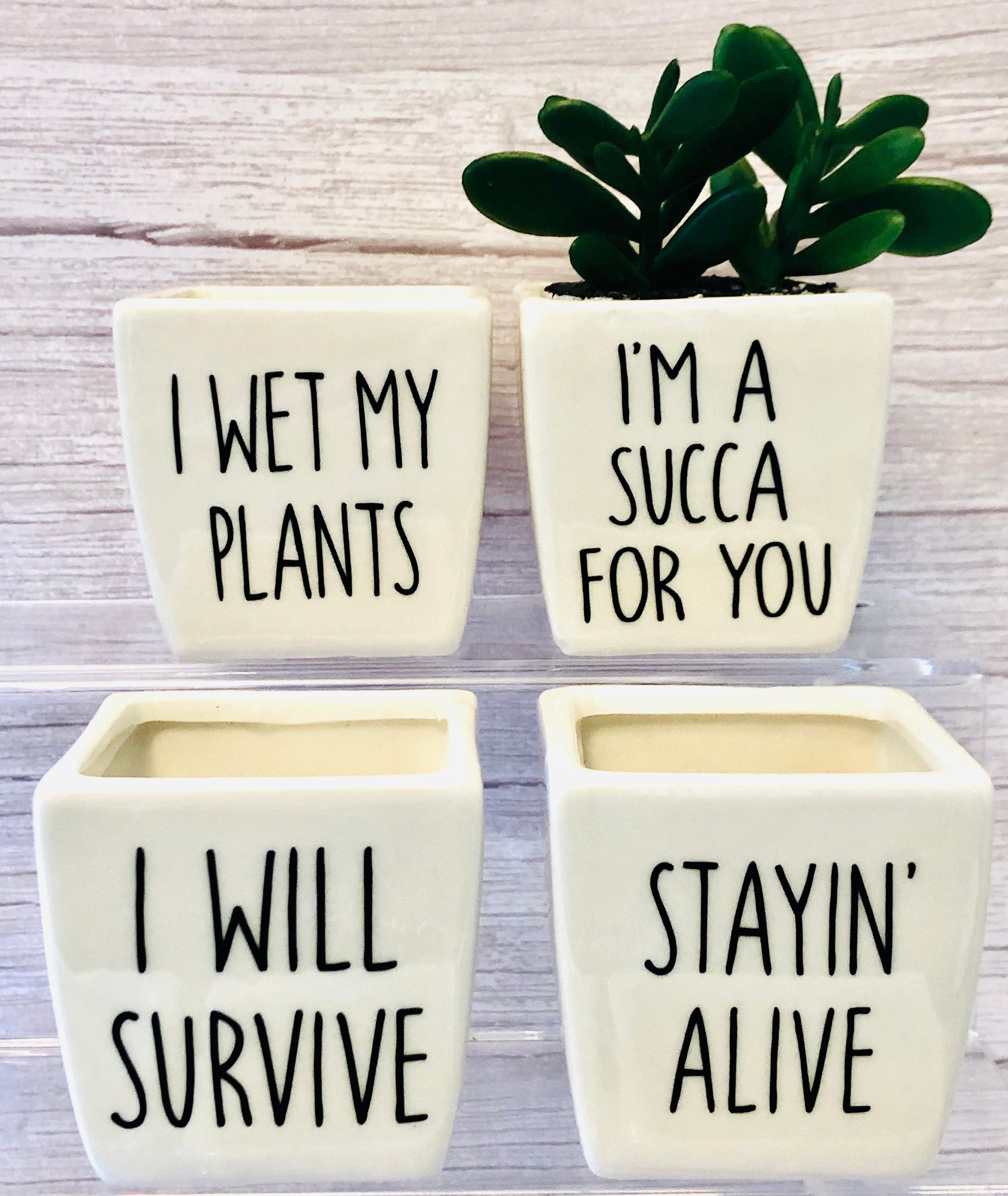 Funny Plant Pot / Funny Plant Pots / Succulent Pot / Plant Pot Etsy UK