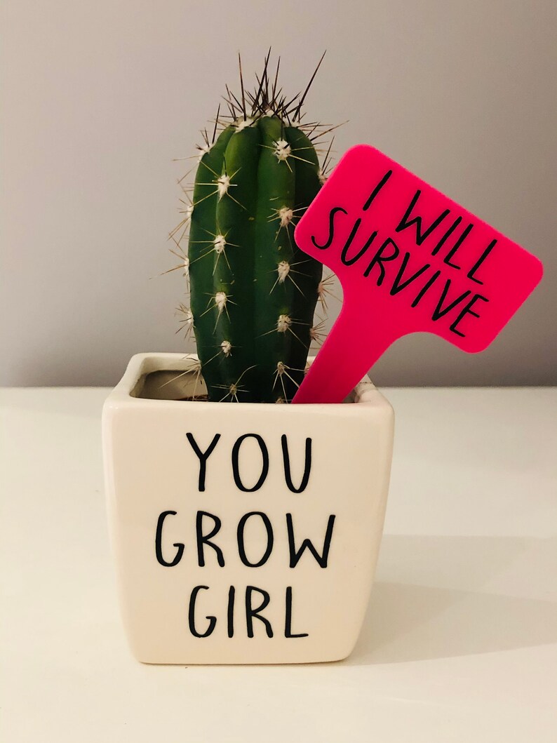 Funny Plant Pot / Funny Plant Pots / Succulent Pot / Plant Pot Etsy UK