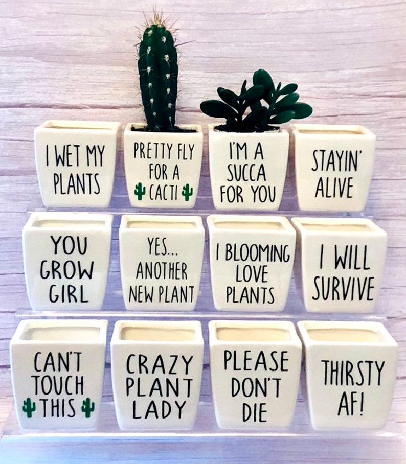 Funny Plant Pot / Funny Plant Pots / Succulent Pot / Plant Pot Etsy UK