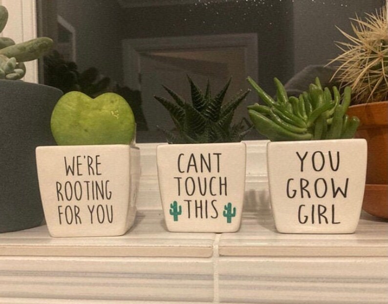 Funny Plant Pot / Funny Plant Pots / Succulent Pot / Plant Pot Etsy UK