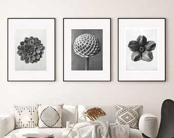 Botanical Print Set: Black and White Flower Photography (DIGITAL)