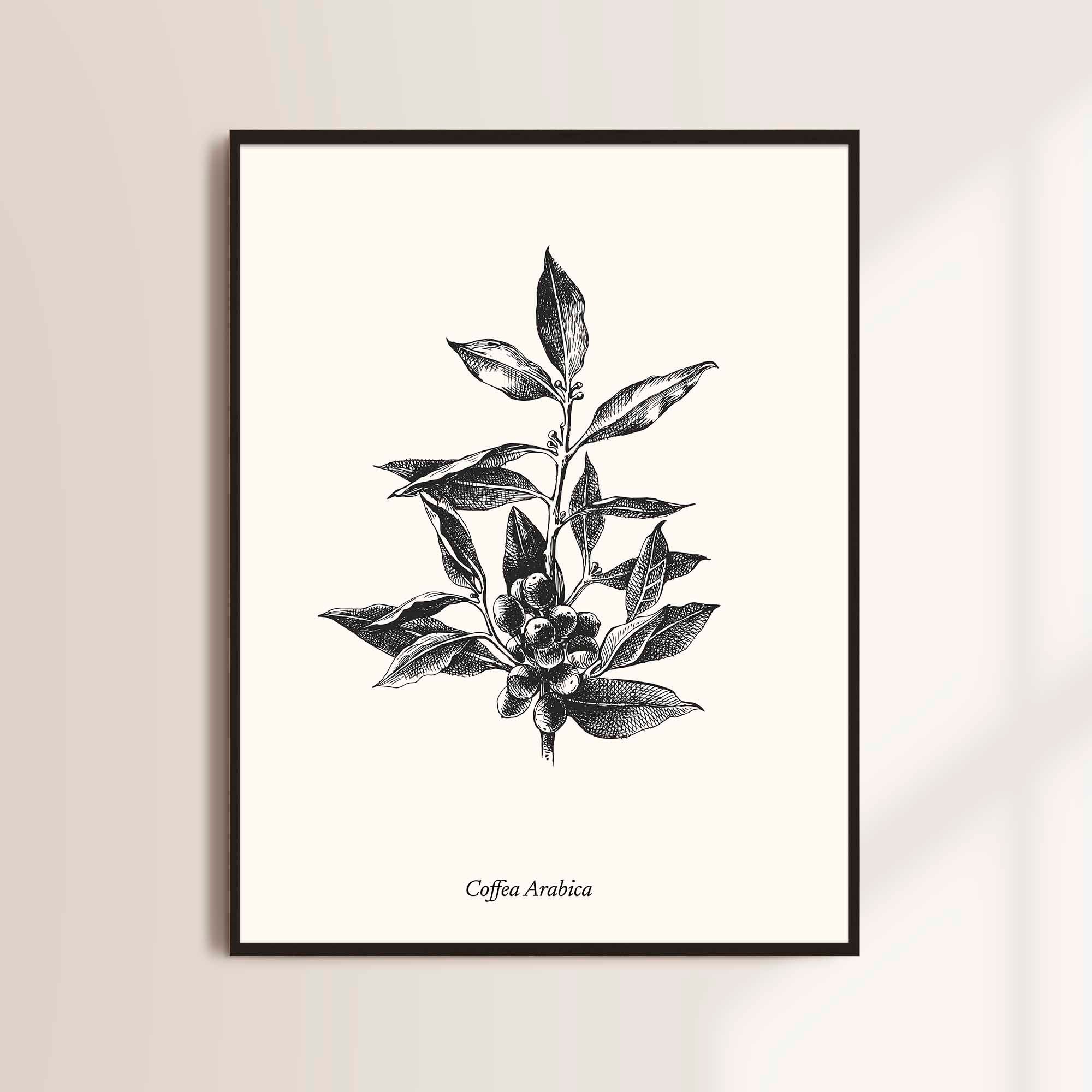Kaffee pflanze kunst - Etsy.de