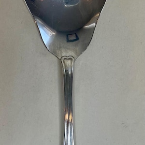 May include: A silver serving spoon with a decorative handle. The spoon has a wide, scalloped bowl and a long, tapered handle with an ornate floral design at the end. The spoon is likely made of stainless steel.