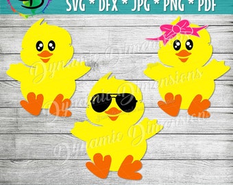 Pasen Chick Svg, Chick silhouet Svg, Baby kip Svg, Pasen svg, Pasen gesneden bestand, gesneden bestanden Cricut svg jpg png dxf Silhouette cameo