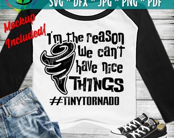 Can't Have Nice Things Shirt SVG, DXF, jpg, Tantrums lustig humorvoll Digitaler Download, Aufkleberdatei, Shirt, Kleinkind, Cricut, Bügelbild