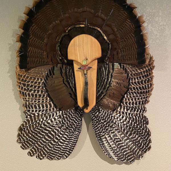 Turkey Fan Mount Etsy
