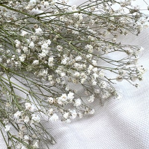 Gypsophila, dried flowers, dried, white, bouquet, decoration home, gift for woman, decoration living room, table decoration, autumn decoration, Christmas