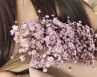xl bund Trockenblumenstrauß, Glixia, violett, Dried Flower Bouquet, Getrocknete Blumen, Hochzeit, Muttertag, Frühling, großhandel