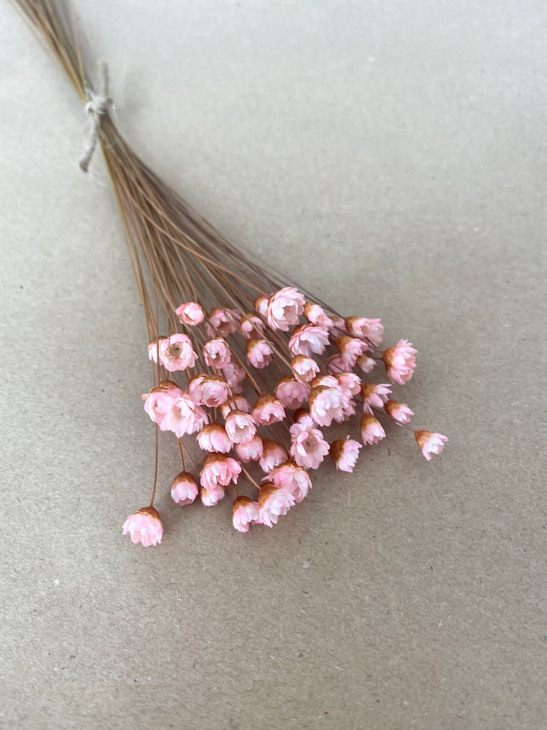 Dry Flower Bouquet Glixia White Pink Dried Flower Bouquet Etsy UK