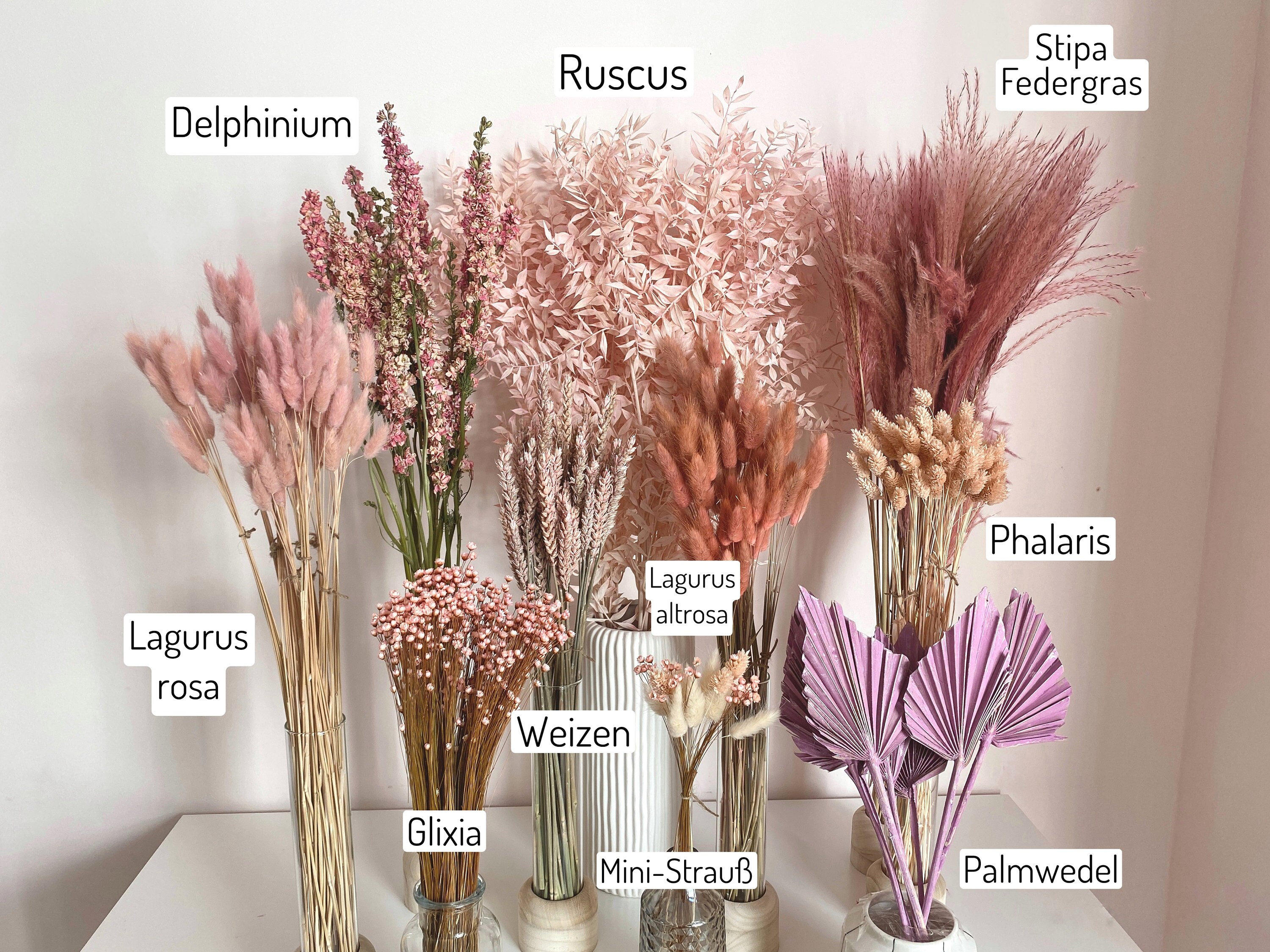 18 Flowers to Grow for Gorgeous Dried Flower Arrangements