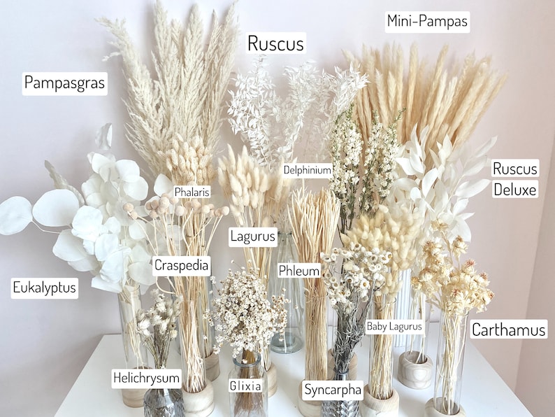 Bouquet of dried flowers, white, pampas grass, living room decoration, arrangements, wedding decoration, Mother's Day, spring, gift for woman, wedding, home deco