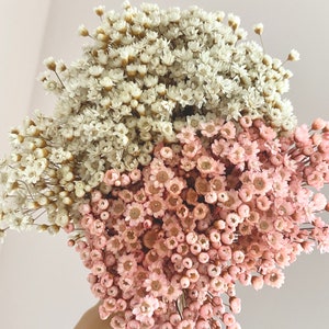 Dried flower bouquet, Glixia, white, pink, Dried Flower Bouquet, Dried Flowers, Wedding, Mother's Day, Wedding Decoration, Mother's Day Gift