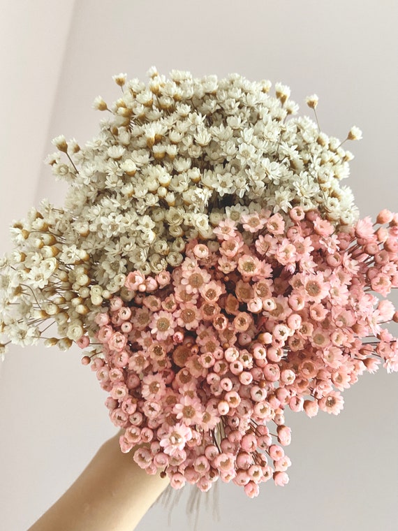 Dried Flower Bouquet, Glixia, White, Pink, Dried Flower Bouquet, Dried  Flowers, Wedding, Mother's Day, Wedding Decoration, Mother's Day Gift 