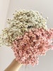 Dry Flower Bouquet, Glixia, White, Pink, Dried Flower Bouquet, Dried Flowers, Wedding, Autumn Decoration, Advent, Wreath 