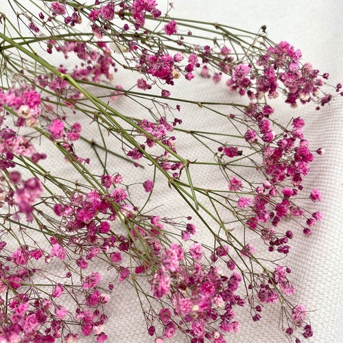 Gypsophila, dried flowers, dried, pink, bouquet, home decor, gift, table decoration, autumn decoration, Advent, Christmas, wreath
