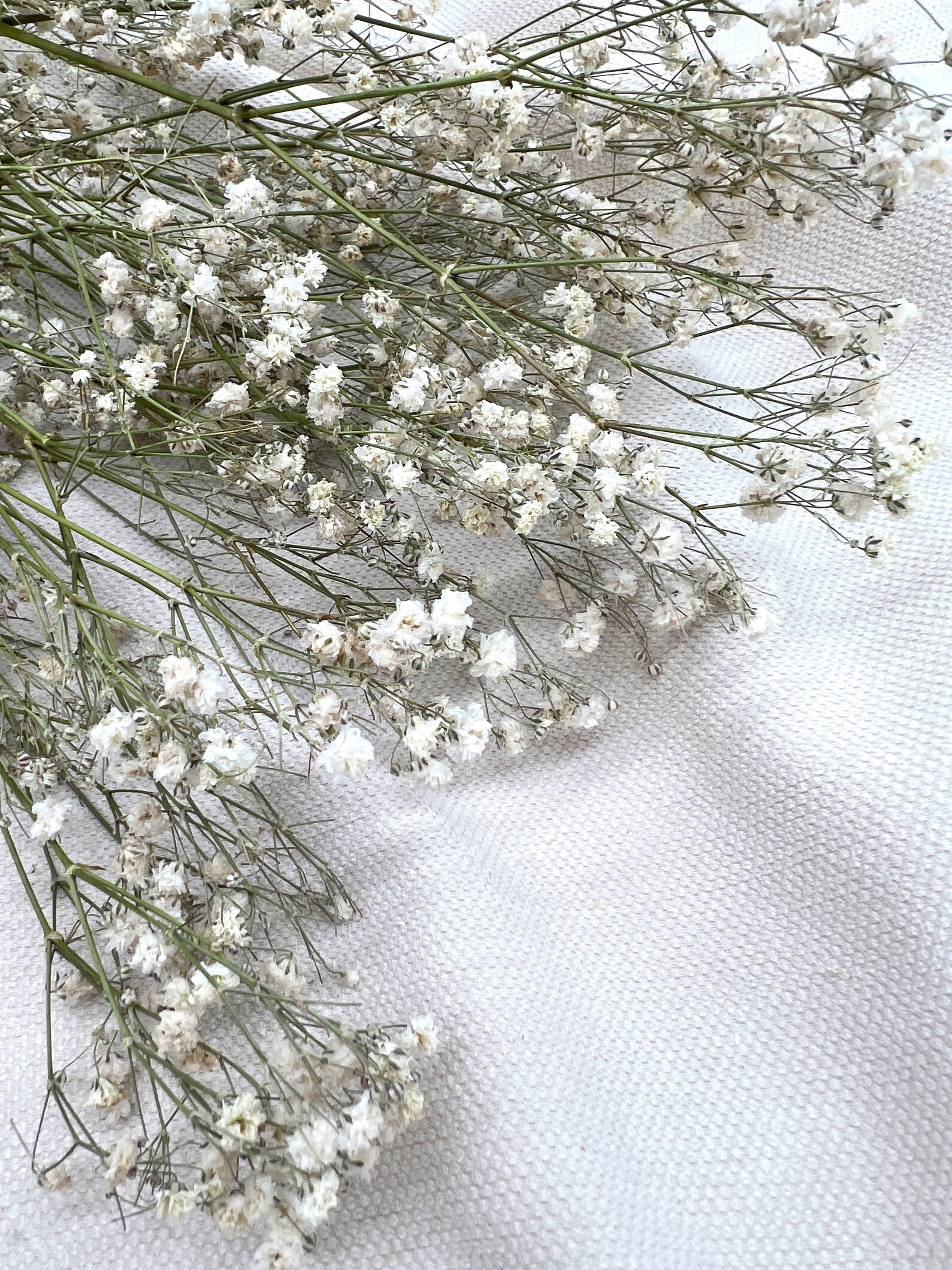 Gypsophila Dried Flowers Dried White Bouquet Decoration - Etsy Canada