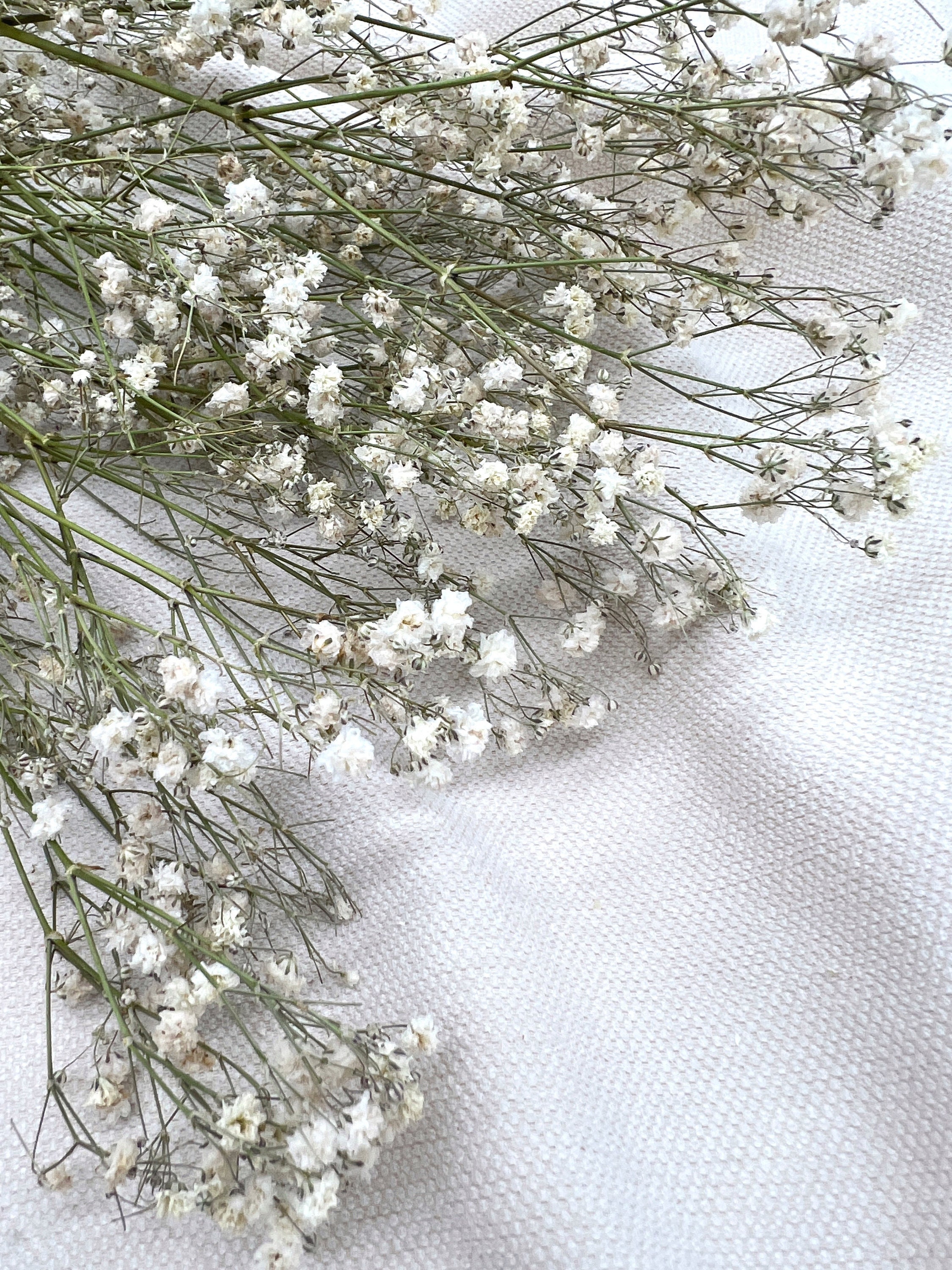 Gypsophila, dried flowers, dried, white, bouquet, home decoration, gift woman, living room decoration, table decoration, Mother's Day, wedding