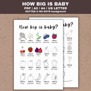 Baby Size Chart | How Big is Baby | Baby Size of Fruit & Veggie | Baby Growth Tracker | Pregnancy Journal Page