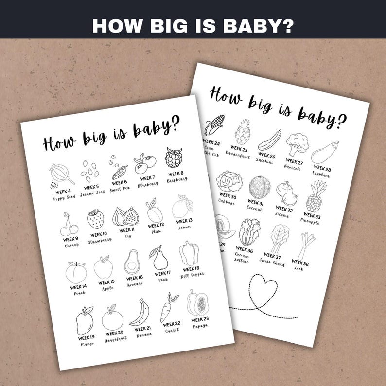 Pode incluir: Dois gr&aacute;ficos brancos impressos com o texto "How big is baby?" e ilustra&ccedil;&otilde;es de frutas e vegetais representando o tamanho de um beb&ecirc; durante as semanas 4-38 da gravidez. Os gr&aacute;ficos est&atilde;o em uma superf&iacute;cie marrom claro.