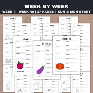 Pode incluir: Um conjunto de p&aacute;ginas de planejador semanal brancas com o texto "Week by Week" e "Week 4 - Week 40". Cada p&aacute;gina tem se&ccedil;&otilde;es para sintomas, desejos e sentimentos, com ilustra&ccedil;&otilde;es de frutas e vegetais.