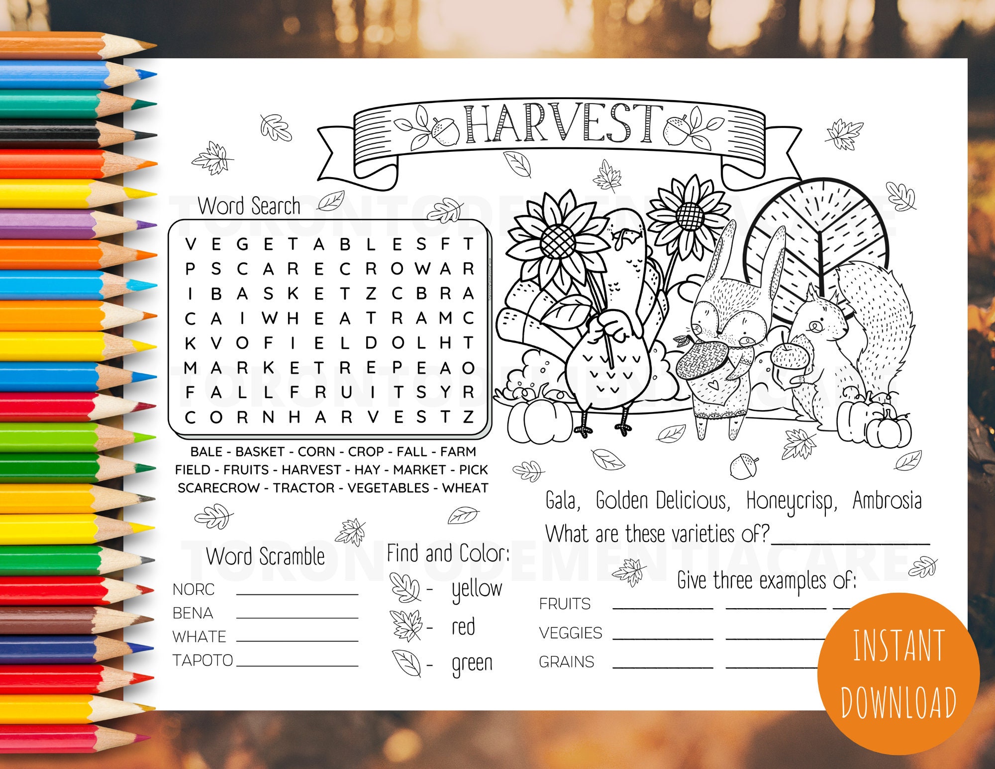 Harvest, Fall, Dementia, Alzheimer's, Elderly, Placemat, Coloring and