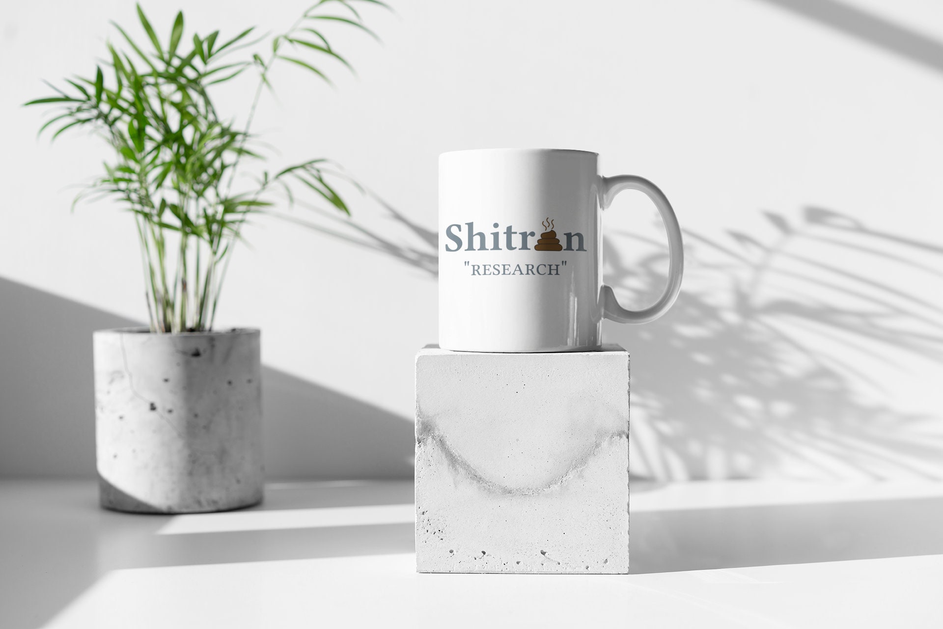 Shitron Citron Research for Wallstreetbets WSB Short Squeeze | GME GANG  Short Seller Mug Stock Market Finance Gag Gifts - Etsy