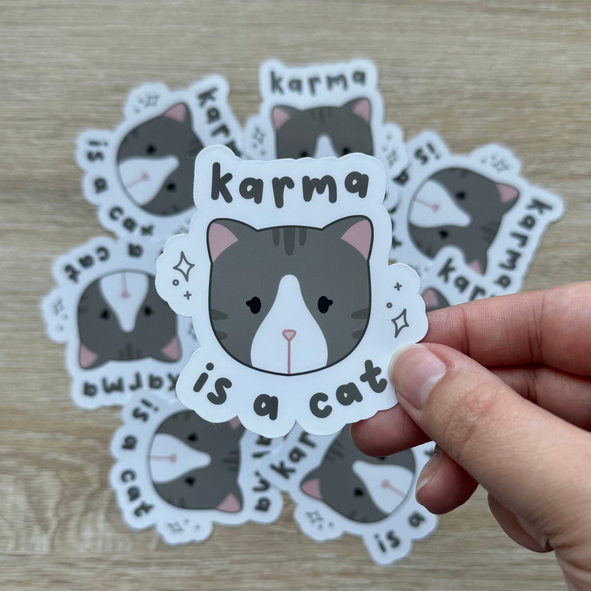 Karma is a Cat Sticker  Taylor Swift Vinyl Stickers – handsomeprintsdesign