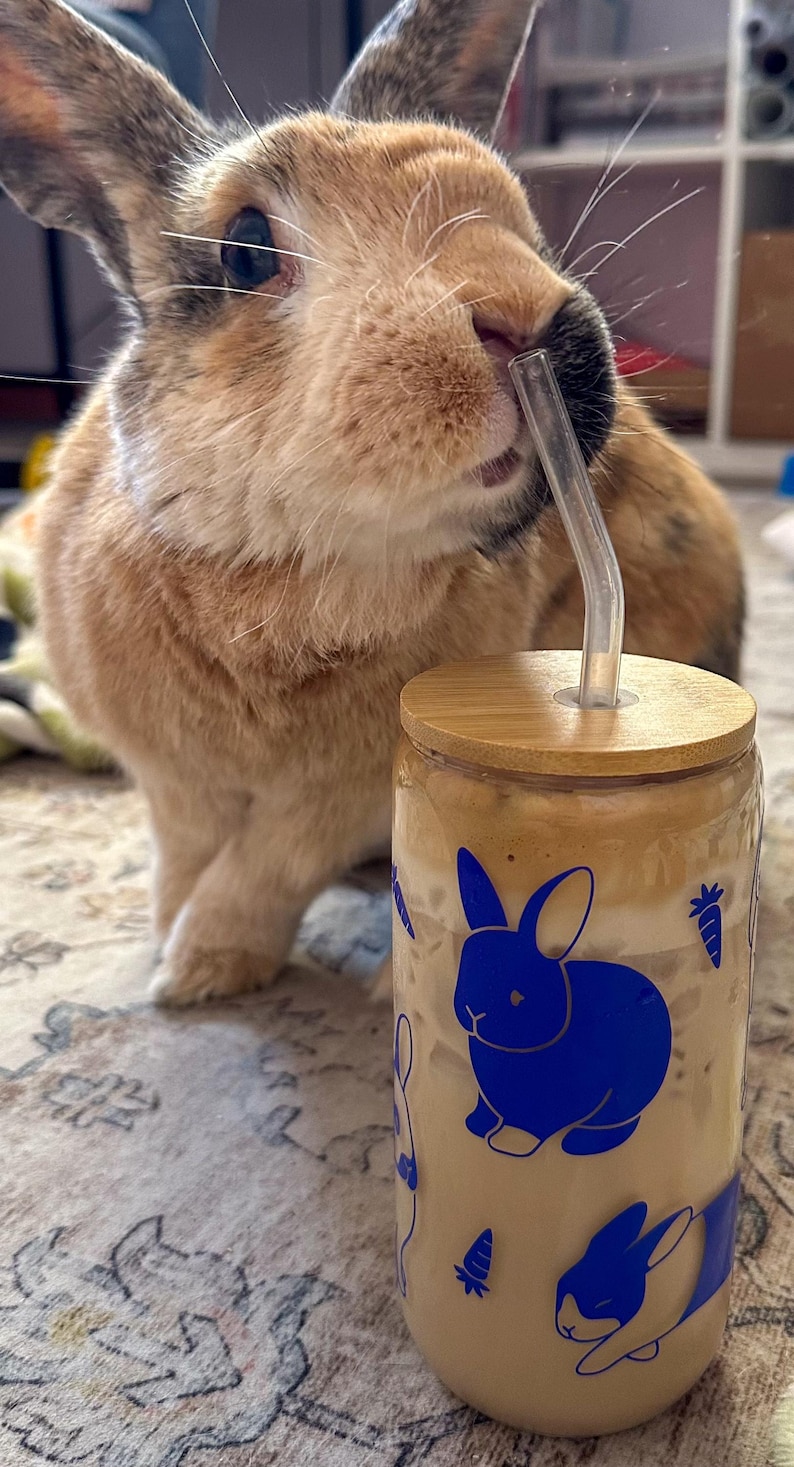 Bunnies Color Changing Glass Cup | Beer Glass | Rabbits Glass Can ...