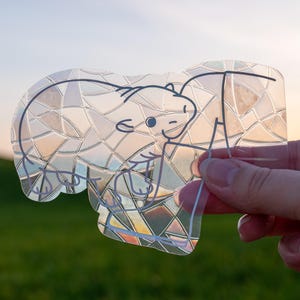 May include: A clear sticker with a hand-drawn outline of a bear. The sticker is placed on a green grassy field with a blurred background of a sunset sky.