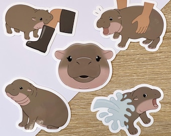 Baby Pygmy Hippo Sticker Pack | Hippo Stickers | Cute Stickers | Animal Stickers | Moo Deng | Moo Deng Stickers | Waterproof Vinyl Stickers
