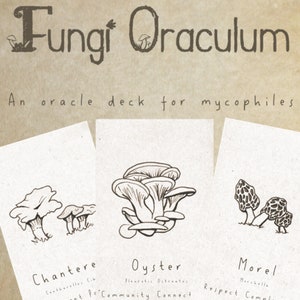 Mushroom Oracle Cards Download - Fungi Oraculum - DIGITALE DOWNLOAD 13 kaarten & PDF-gids | Eigenzinnige groene heks botanische kaarten