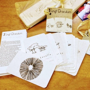 Fungi Oraculum Travel Deck Mushroom Oracle 13 card deck with guidebook PHYSICAL DECK | Botanical Oracle Cards Travel Size Indie Mini Deck