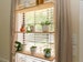 Hanging Plant Shelves - Indoor Planters