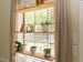 Hanging Plant Shelves - Indoor Planters 